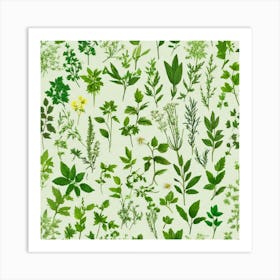 Seamless Pattern Of Herbs 2 Art Print