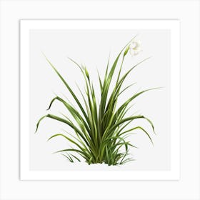 Watercolor-Spring-Grass-Clipart.1 Art Print