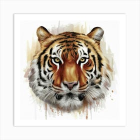 Tiger Head Canvas Print Art Print