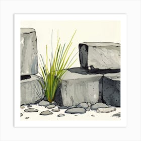 Rocks And Grass Art Print