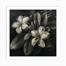 Frangipani 1 Art Print