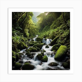 Ecuadorian River Art Print