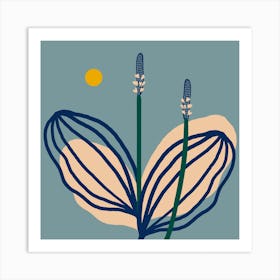 Common Plantain Herb Square Art Print