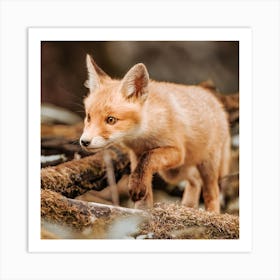 Red Fox Cub 1 Art Print