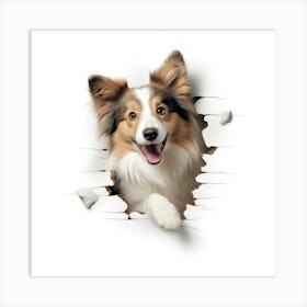 Sheltie Art Print