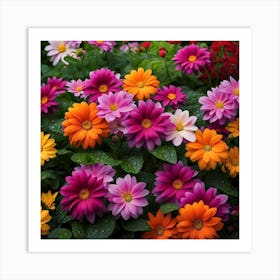 Dahlias 1 Art Print