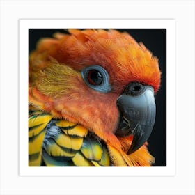 Portrait Of A Parrot 3 Art Print