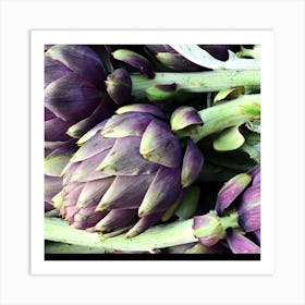 Artichoke Art Print