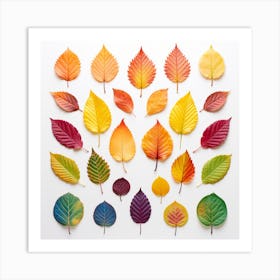 Autumn Leaves On White Background Art Print