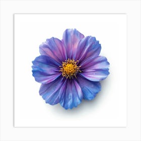 Cosmos Flower Art Print