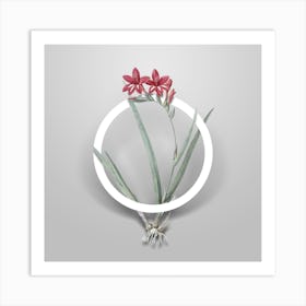 Vintage Gladiolus Cardinalis Minimalist Botanical Geometric Circle on Soft Gray n.0191 Art Print