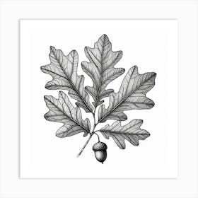 Line Art oak leaves Art Print