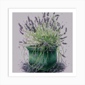 Lavender In A Pot 2 Art Print