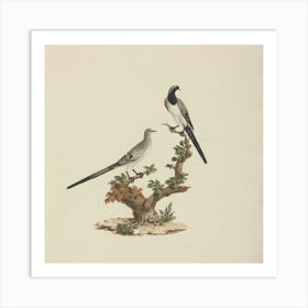 Doves On A Branch Art Print