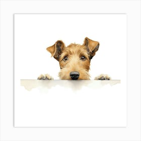 Irish Terrier 11 Art Print