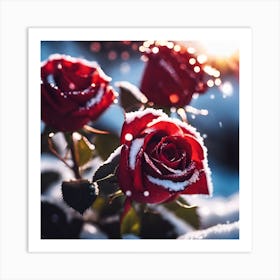 Sunlight on Red Roses in Snow Art Print