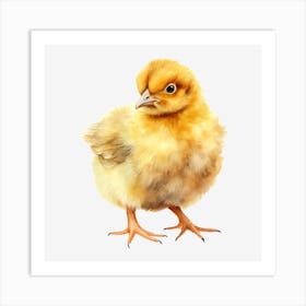 Chicken 8 Art Print