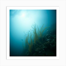 Great Barrier reef 7 1 Art Print