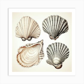 Set Of Seashells Art Print