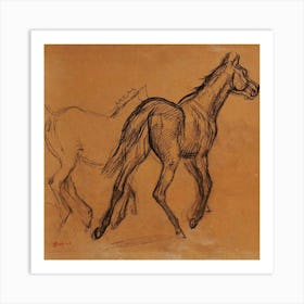 Horse Study - Edgar Degas Art Print