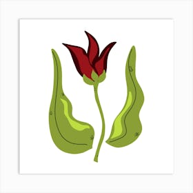 Red Tulip Art Print