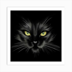 Black Cat Art Print