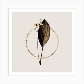 Gold Ring Bulltongue Arrowhead Glitter Botanical Illustration n.0153 Art Print