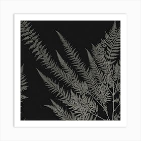 Ferns 19 Art Print