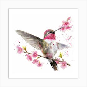 Hummingbird 21 Art Print