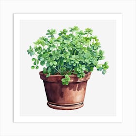 Shamrock 1 Art Print