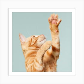 Cat Reaching For A Toy 1 Art Print