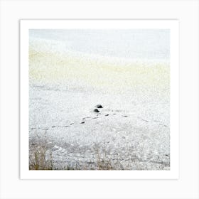 White Lake Withe Art Print