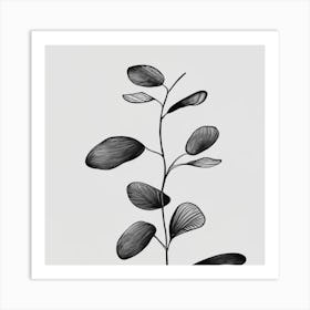 Eucalyptus 2 Art Print