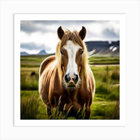 Horse In Iceland Art Print