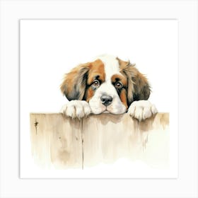 St Bernard Dog 6 Art Print