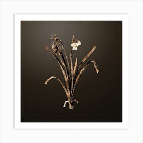 Gold Botanical Summer Snowflake on Chocolate Brown n.4663 Art Print