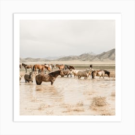 Wild Horses In Utah Square Art Print