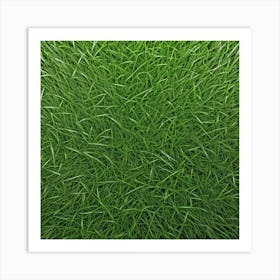 Grass Background 7 Art Print