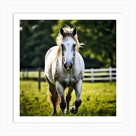 White Horse Galloping 6 Art Print