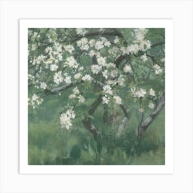 Apple Blossoms 1 Art Print