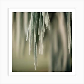 Frost On A Tree Art Print