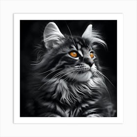 Monochrome Cat With Amber Eyes Art Print