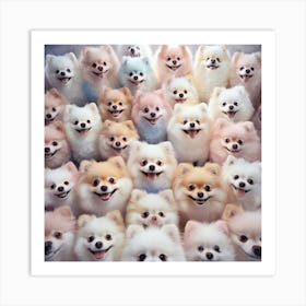 Group Of Pomeranians Art Print