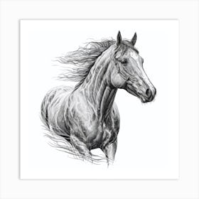 Horse Drawing Art Print