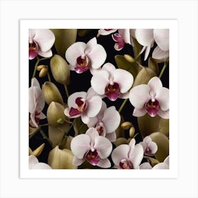 Orchids 3 Art Print