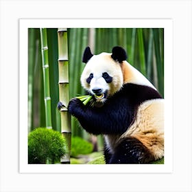 Panda Bear Eating Bamboo Art Print