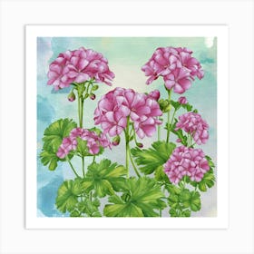 Pink Geraniums Art Print