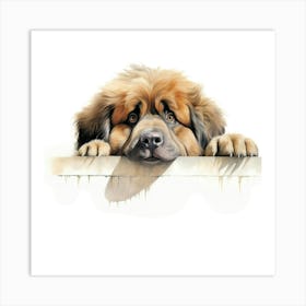 Tibetan Mastiff Dog Art Print