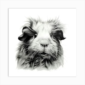 Guinea Pig Portrait Art Print