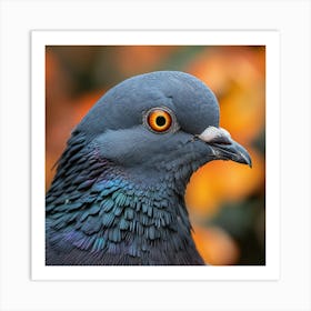 Pigeon Art Print